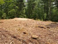 View after trees have been cut to make way for large emerald green and titanium backyard basketball court in Bolton, MA.