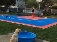 Young dog in foreground watching kids play basketball on small blue and orange court in Beverly, MA.